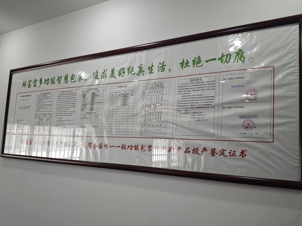 Factory Tour 4 Dehui Packaging Facility